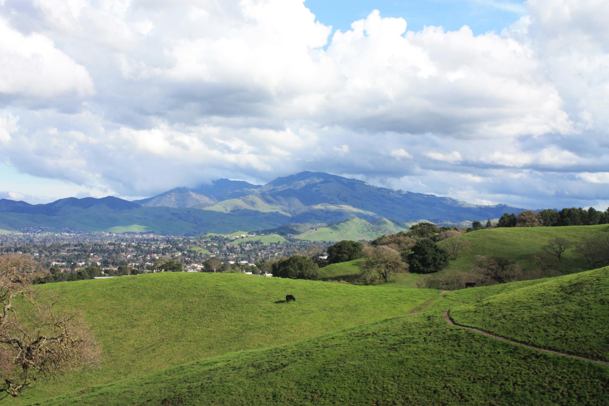 Photo of Rolling Green Pastures