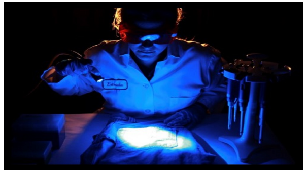 Photo of Officer examining evidence materials