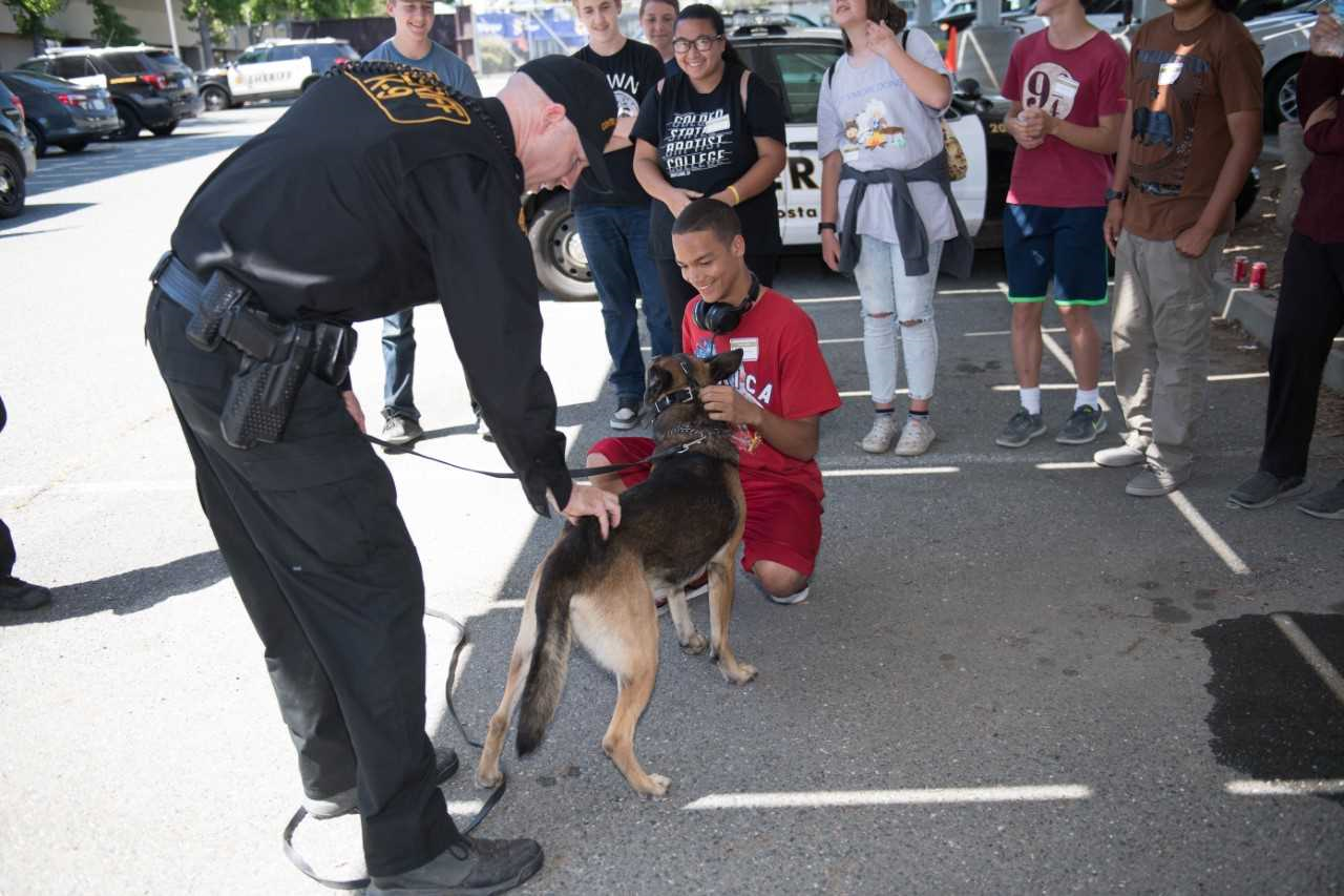 Photo of officer with dog